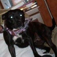 Evelyn Brimble Photo 1