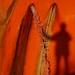 Bruce Rocha Photo 23
