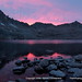 Royce Stevens Photo 23