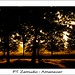 Francisco Zamudio Photo 34