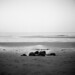 Yashica Brown Photo 21