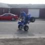 Randy Erickson Photo 28
