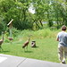 Diane Corn Photo 21