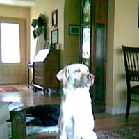 Bruce Cook Photo 7