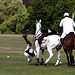 Peter Lewin Photo 28