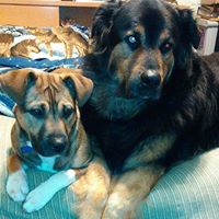 Brenda Christman Photo 7