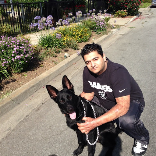Sid Sharma Photo 9