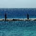 Mohamed Hamid Photo 42