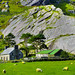 Kerry Major Photo 29
