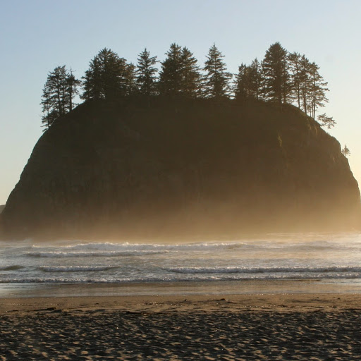 Brook Andrews Photo 8
