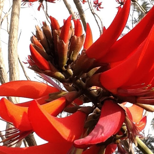 Sunita Kumar Photo 9