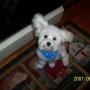 Karen Blevins Photo 30