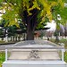 John Swaim Photo 31