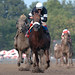 Tracy Whitney Photo 40