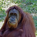 James Carel Photo 20