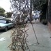 Bruce Cruz Photo 34