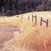 Samuel Peak Photo 15
