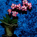 Jennifer Newberry Photo 36
