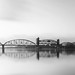Clayton Cook Photo 45