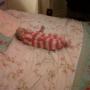 Ann Hart Photo 28