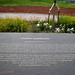 Lauren Townsend Photo 39