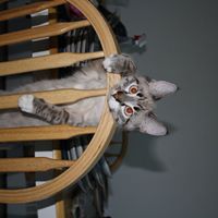 James Lagger Photo 1
