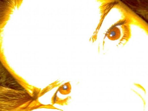 Laura Serra Photo 12