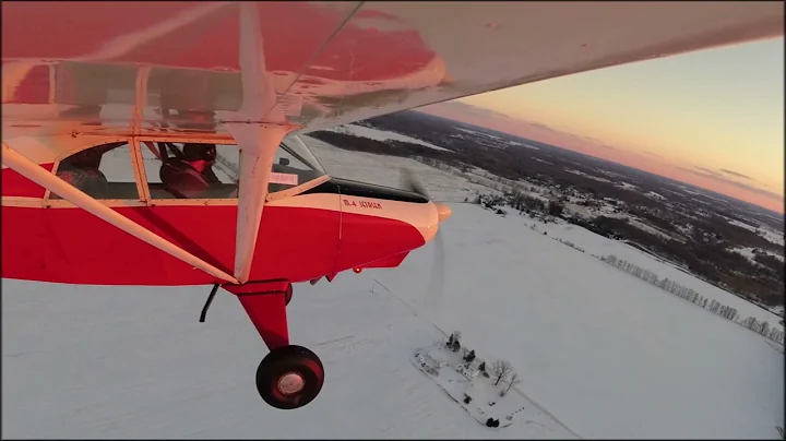 Brandon Maule Photo 6