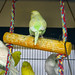 Donna Day Photo 43