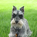 Lucy Tucker Photo 40