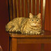 Heidi Flint Photo 31