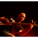 David Bissonette Photo 22