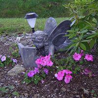 Debbie Zeigler Photo 4