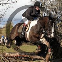 Larry Millar Photo 2