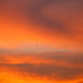 Kathy Cloud Photo 35