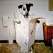 Bruce Key Photo 29