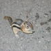 Carl Ervin Photo 28