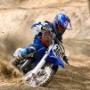 Tami Arnold Photo 30