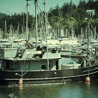 Daniel Goodin Photo 8