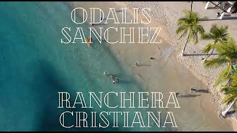 Odalys Sanchez Photo 29