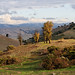 Teresa Parks Photo 42