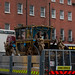 Mark Whitton Photo 36