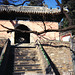 Zheng Guo Photo 26
