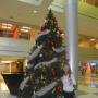 Jingyi Zhou Photo 12