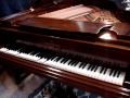 Robert Steinway Photo 12