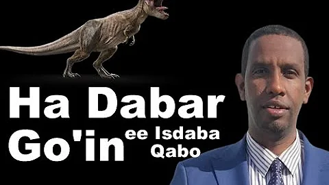 Abdullahi Elmi Photo 22