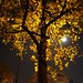 Michele Moon Photo 28
