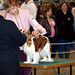 Carol Nickel Photo 32