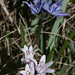 Verna Overton Photo 11