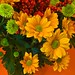 Autumn Bunch Photo 24